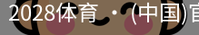2028体育